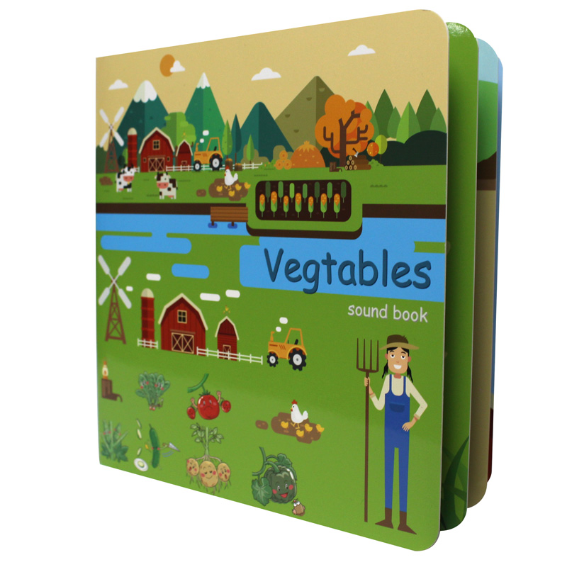 English Kids Education - Custom Board Books for Babies English