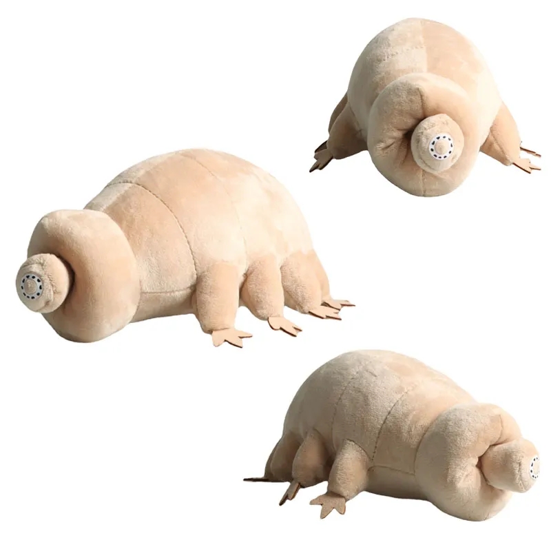 Kids Education Movies - 25cm Water Bear Tardigrade Plush Toy