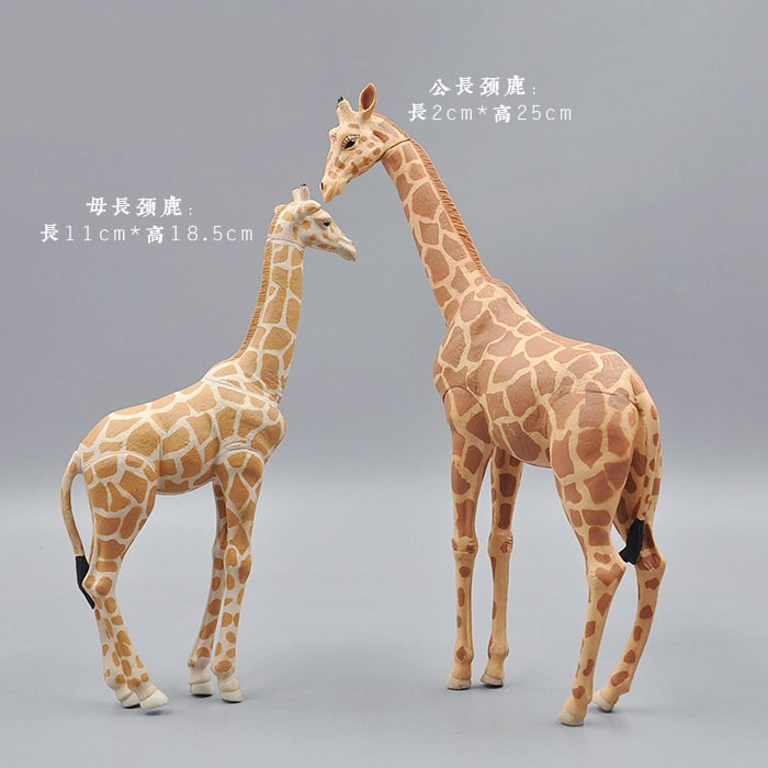 Kangaroo Kids Education - Mô Phỏng Động Vật Đồ Chơi