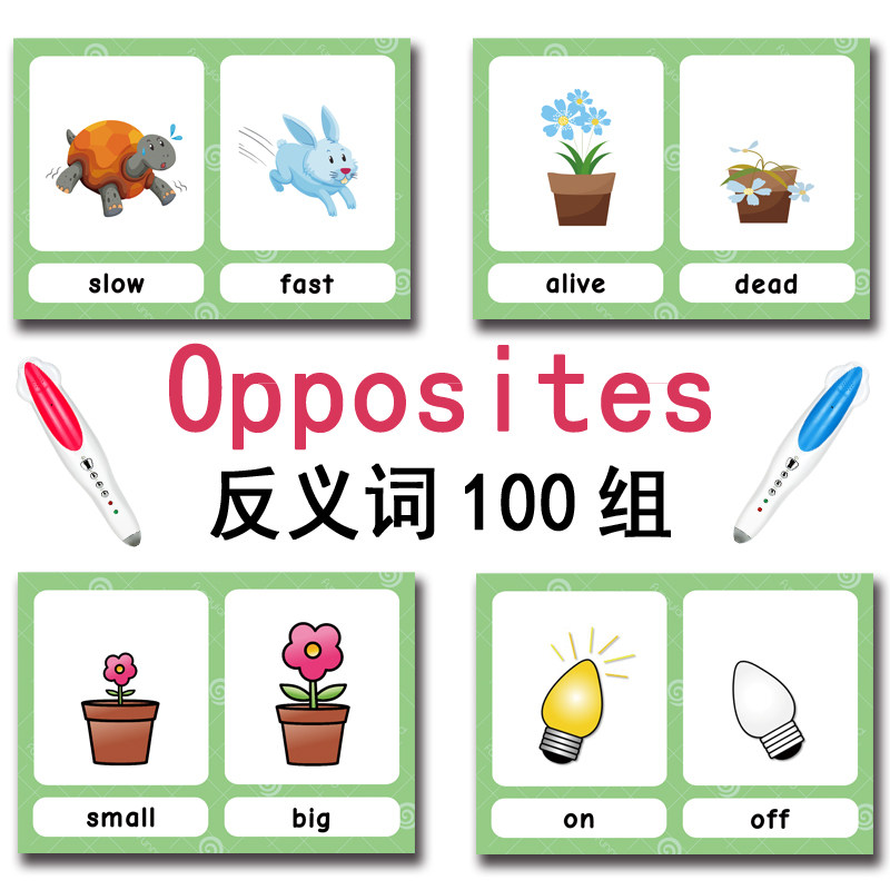 The 100 Groups Opposites Flash - đánh giá và giá Kids Education And You