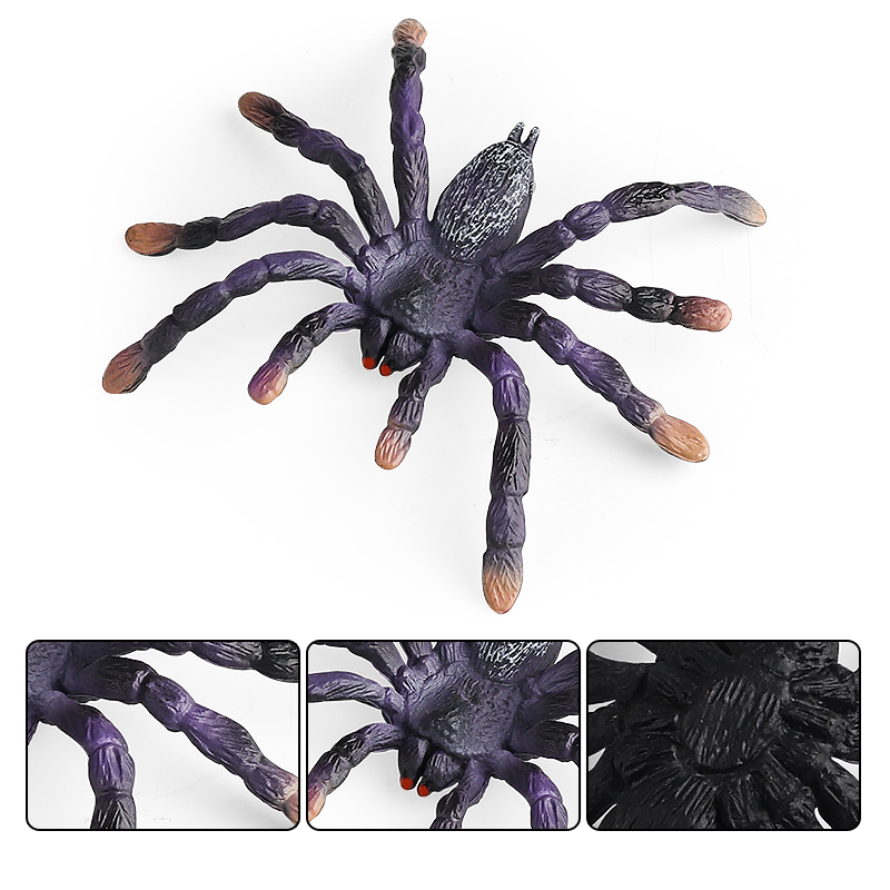Oenux Insect Animals Model Spi - đánh giá và giá Kids Education Movies