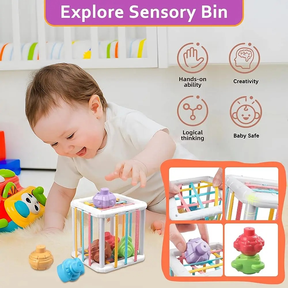 Rainbow Colorful Montessori Sh - đánh giá và giá Kid Education