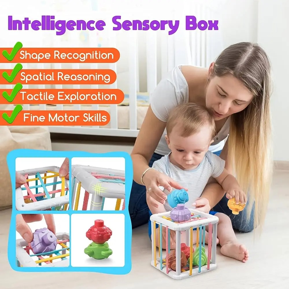 Rainbow Colorful Montessori Sh - đánh giá và giá Kid Education