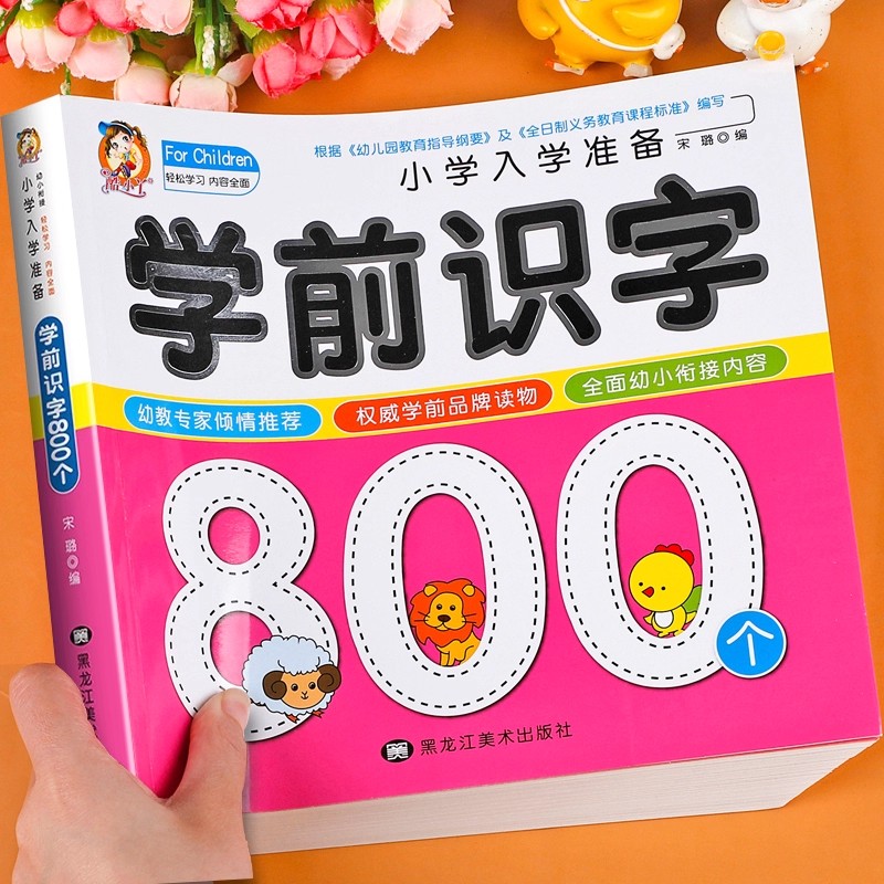 Preschool Literacy: 800 Chines - đánh giá và giá Kids Education And You