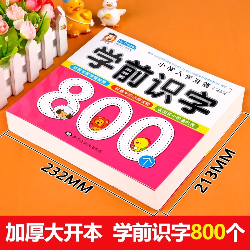 Preschool Literacy: 800 Chines - đánh giá và giá Kids Education And You