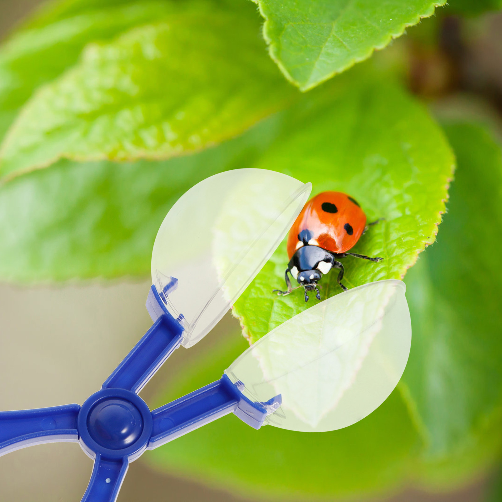 8Pcs Insect Catcher Scissors K - đánh giá và giá Kids Outdoor Education