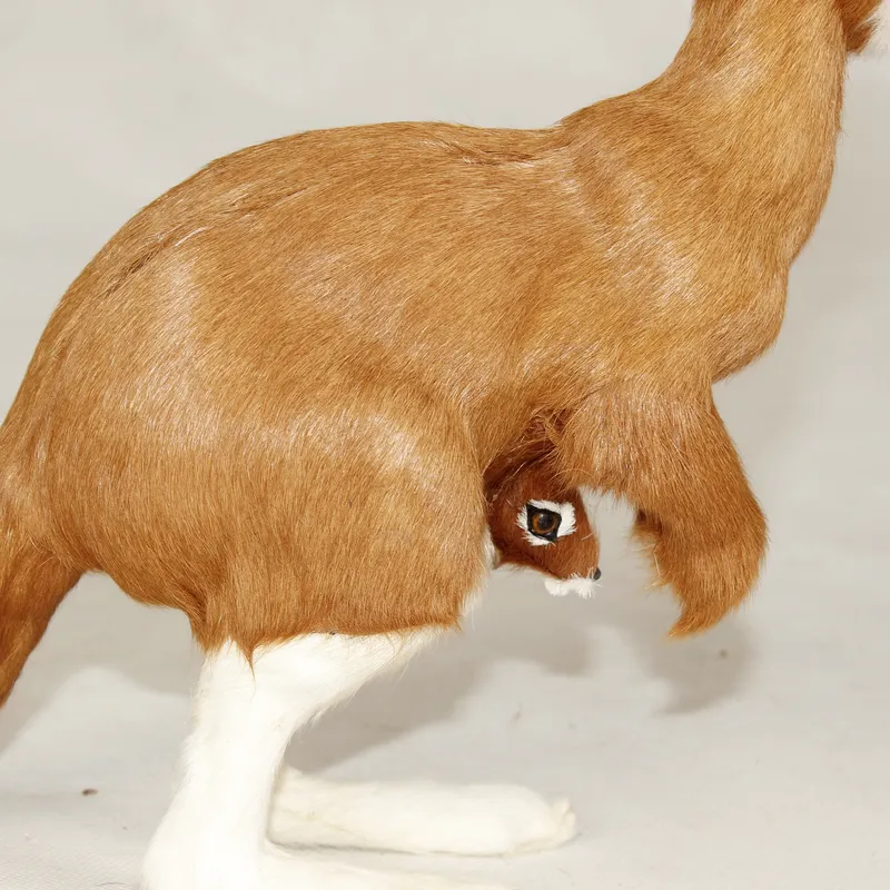 for Lifelike Kangaroo Hand Pup - đánh giá và giá Kangaroo Kids Education
