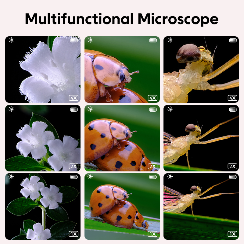 Mini Kids Optical Microscope W - đánh giá và giá Kids Education World